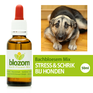 Bachbloesem Mix Stress & Schrik Honden