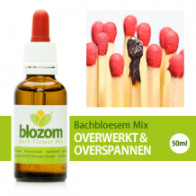 images/productimages/small/bachbloesem-mix-burnout-overwerkt-overspannen.png