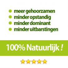 bachbloesems voor adhd
