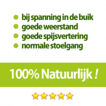 Maag en darmen ondersteunen met Bachbloesems. Probeer het nu !