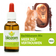 images/productimages/small/bachbloesem-mix-zelfvertrouwen-zelfbeeld.png