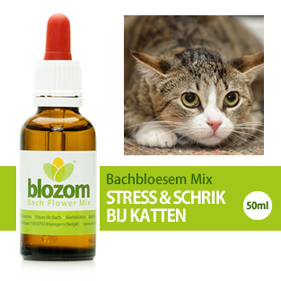 Bachbloesem Mix Stress & Schrik Katten